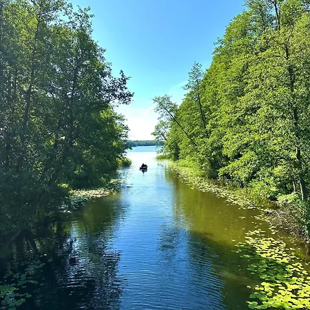 Dom wakacyjny Gniazdo Sikorek *